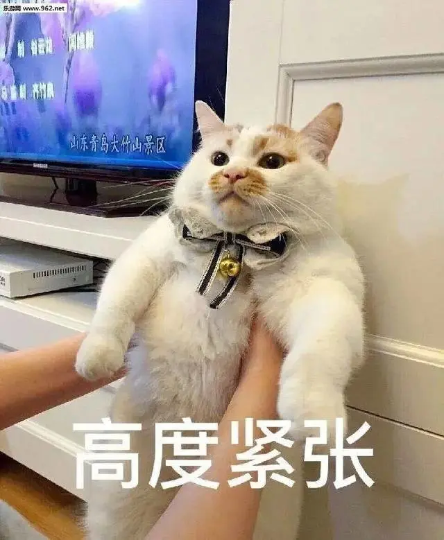 最全！2020中山各镇区公办中小学学区划片！你家小区属于哪个学区？