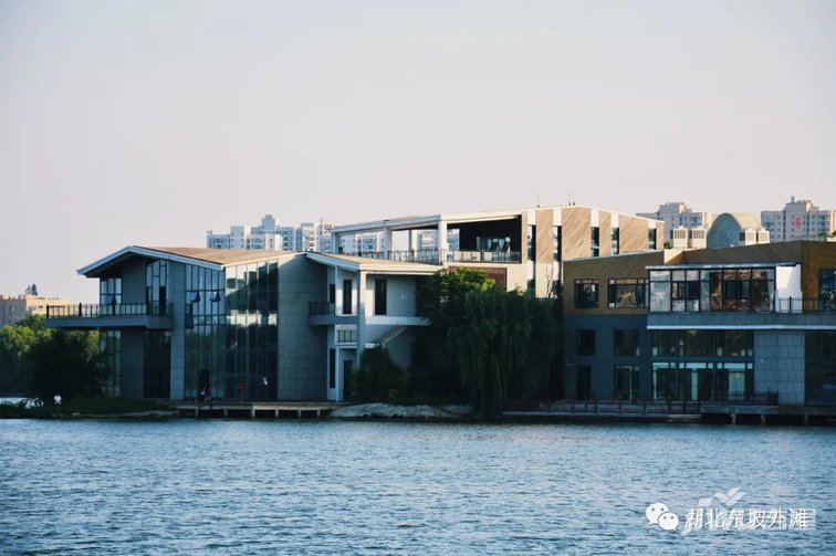 【东坡外滩】270°亲湖硬核成长型墅级公寓