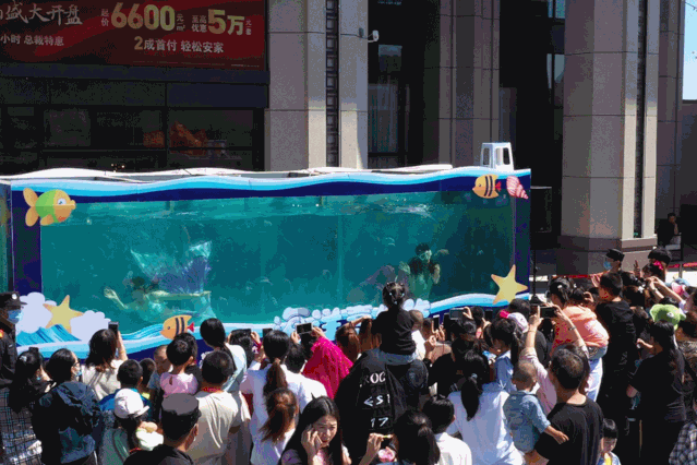 星悦湾海洋嘉年华火爆开场，海狮+美人鱼表演时间请收藏！