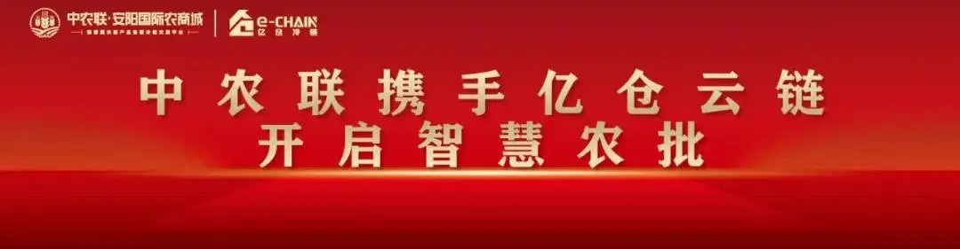 中农联 | 8月30日9时中农联智慧冷链开仓倒计时 谋区域大势聚农批未来