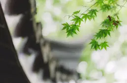 天津雅居乐·御宾府：九河下梢，藏韵东方