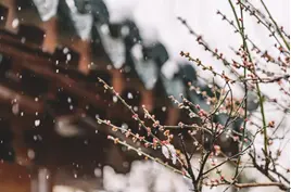 天津雅居乐·御宾府：九河下梢，藏韵东方