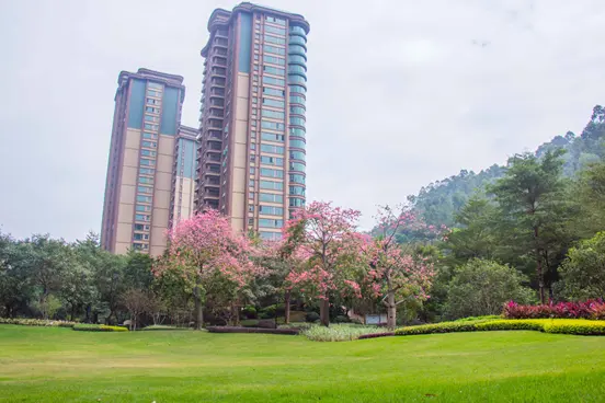 如何与时光同行？ 雅居乐28年产品匠造与初心