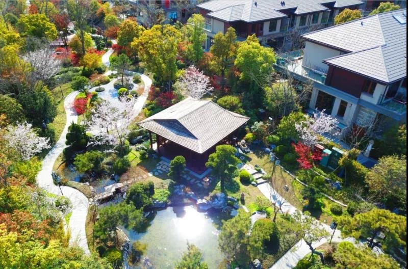认筹在即！上海1-8月别墅成交套数1「东滩花园」八年大成之作来了！低密生态合院不容错过！