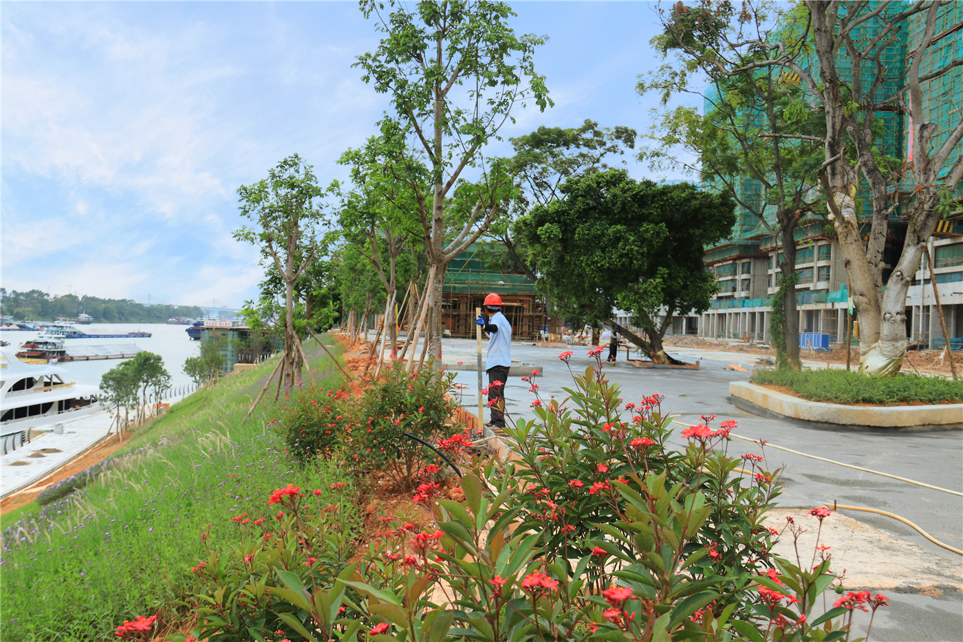 惊艳！桂平滨江外滩景观升级，颜值要逆天了！
