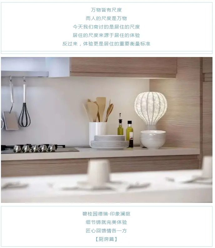 碧桂园细节之厨房篇