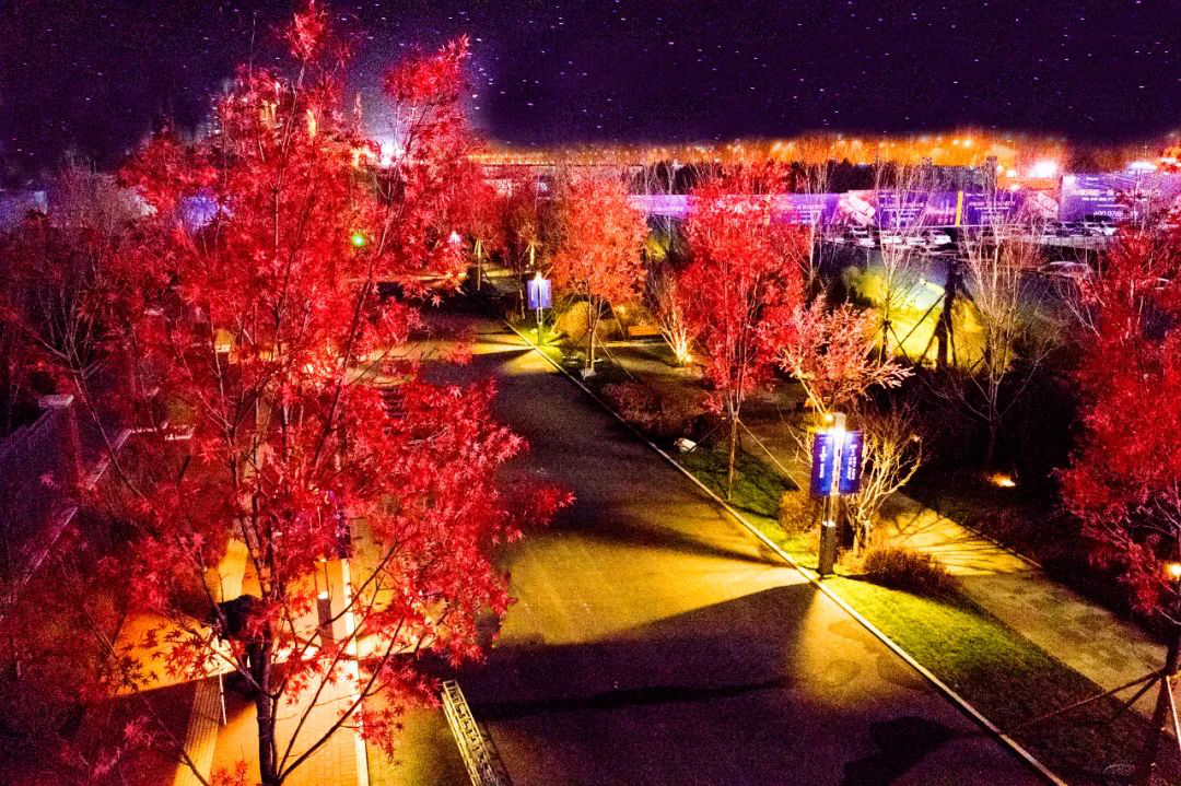 国博城实体交付样板区璀璨夜景——冰城亮丽风景线
