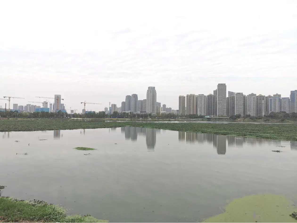 (方岛湿地公园实景图)