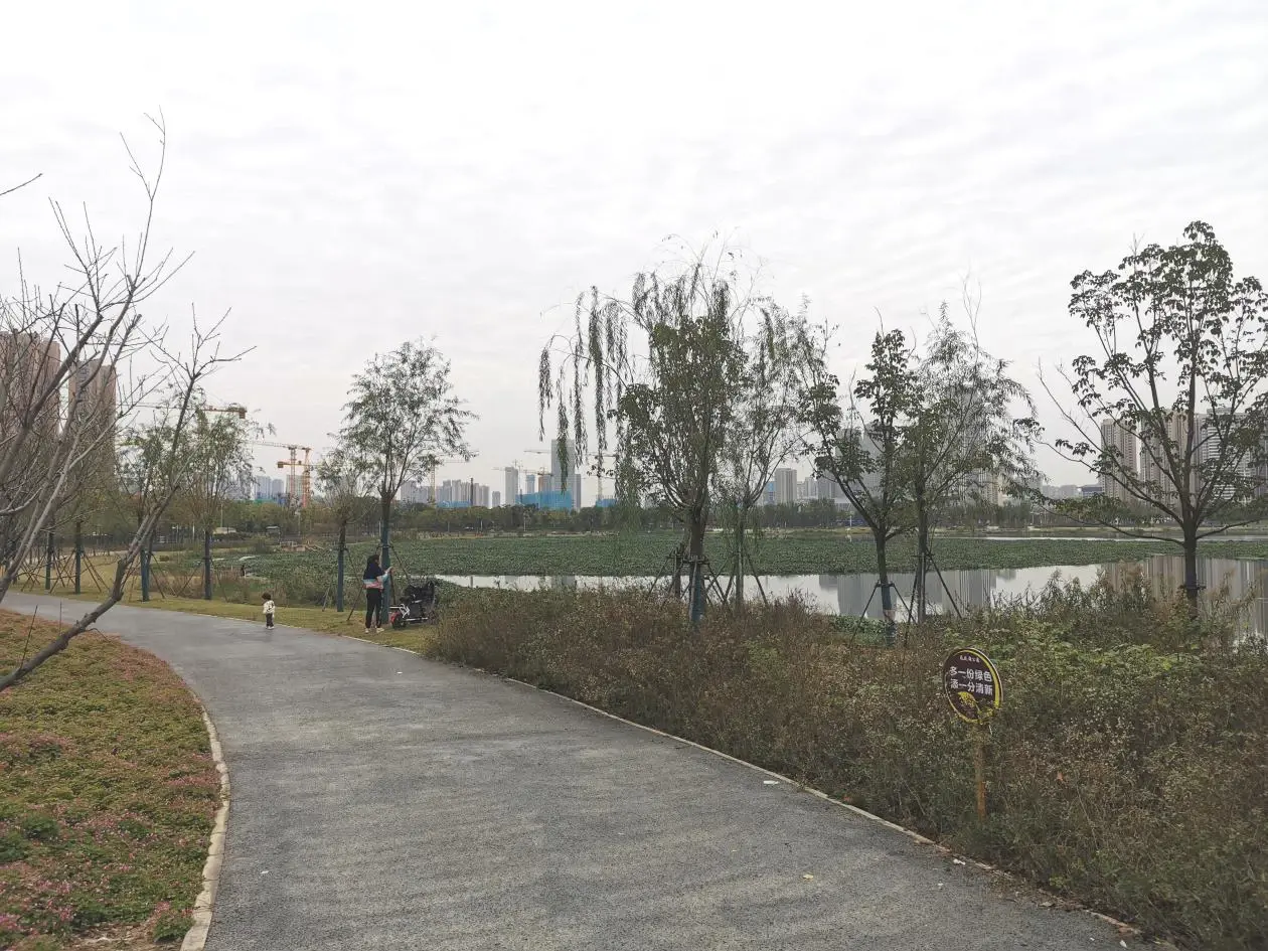 距离项目最近是方岛湿地公园公园,业主下楼即可享受,既能信步于环湖