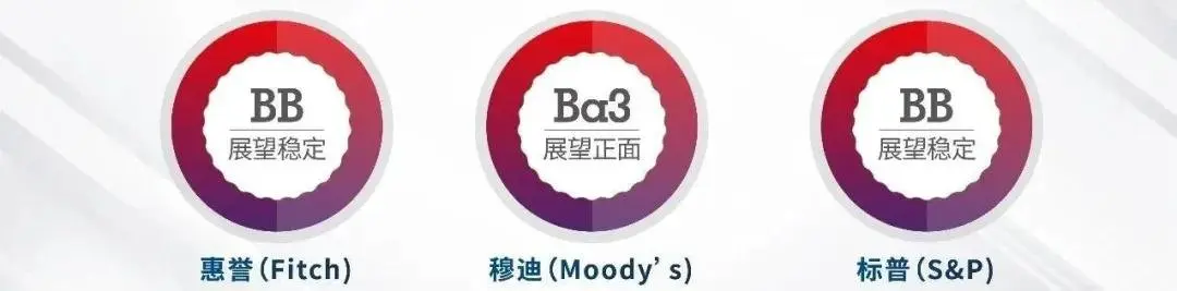 天南地北厦大人｜行者林中：中国房地产行业的战略家