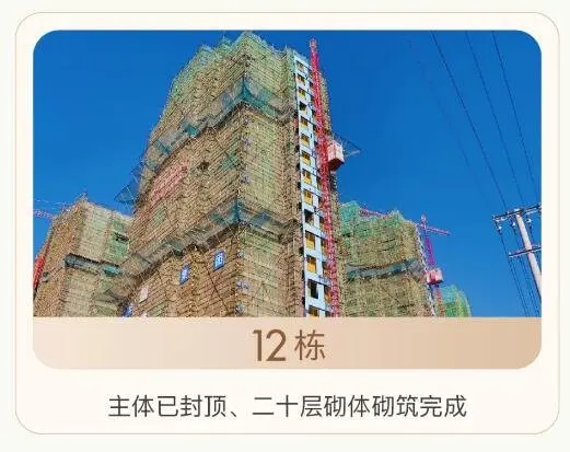 大华家书 | 春色人间 锦上添花 大华·锦绣华城2021年2月工程播报