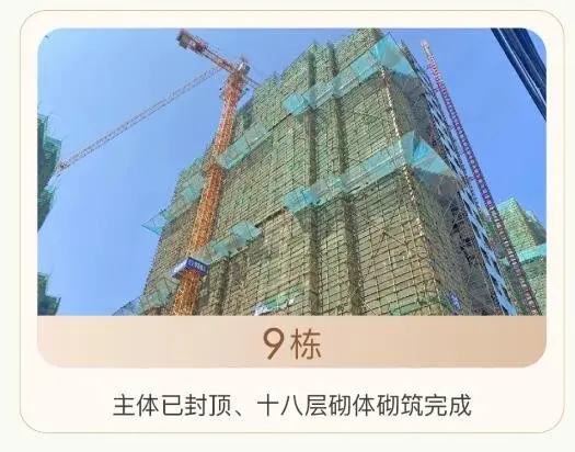 大华家书 | 春色人间 锦上添花 大华·锦绣华城2021年2月工程播报