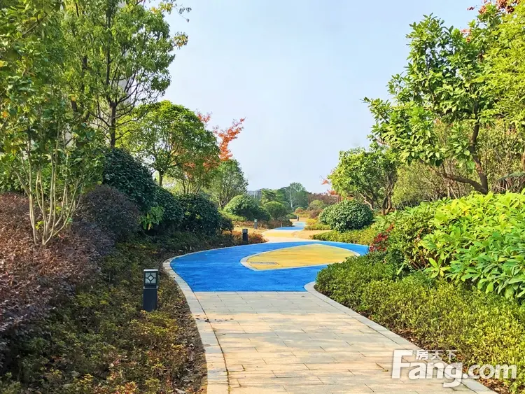 御湖世家||楼上观湖景，楼下逛公园，是种怎样的体验？