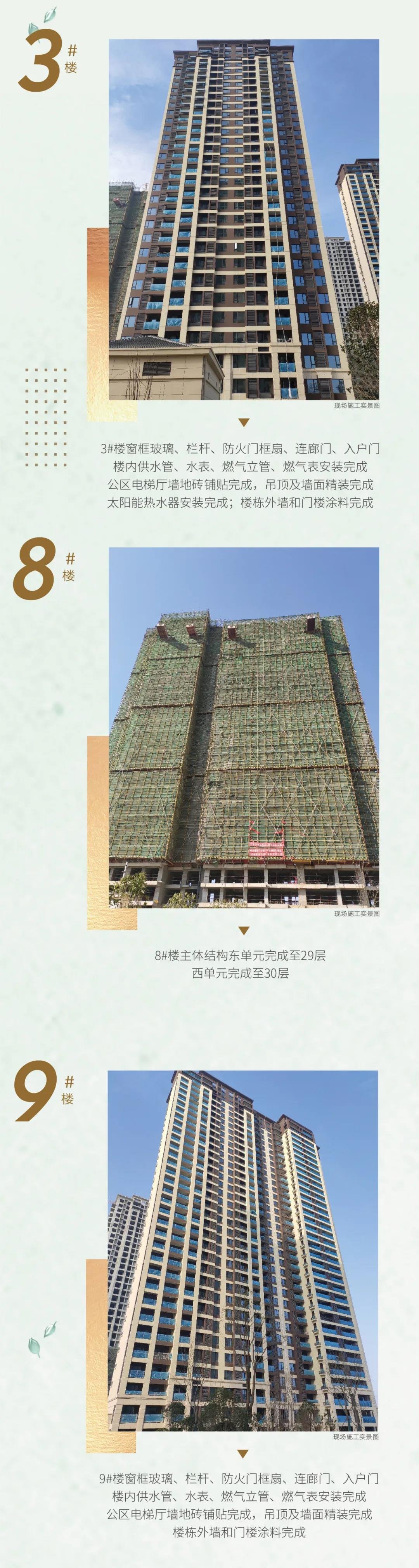 金辉城2月工程进度播报：1#、2#、3#楼栋外墙和门楼涂料完成