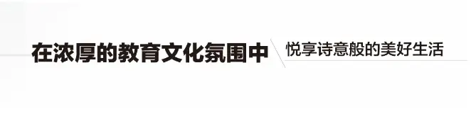 洲悦的79位邻居|一次教育和美学的融合