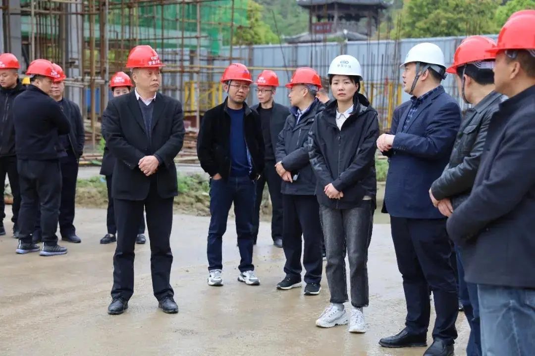 梦巢小镇建设现场考察调研