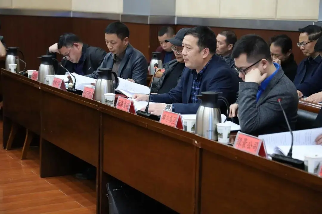 梦巢小镇建设现场考察调研