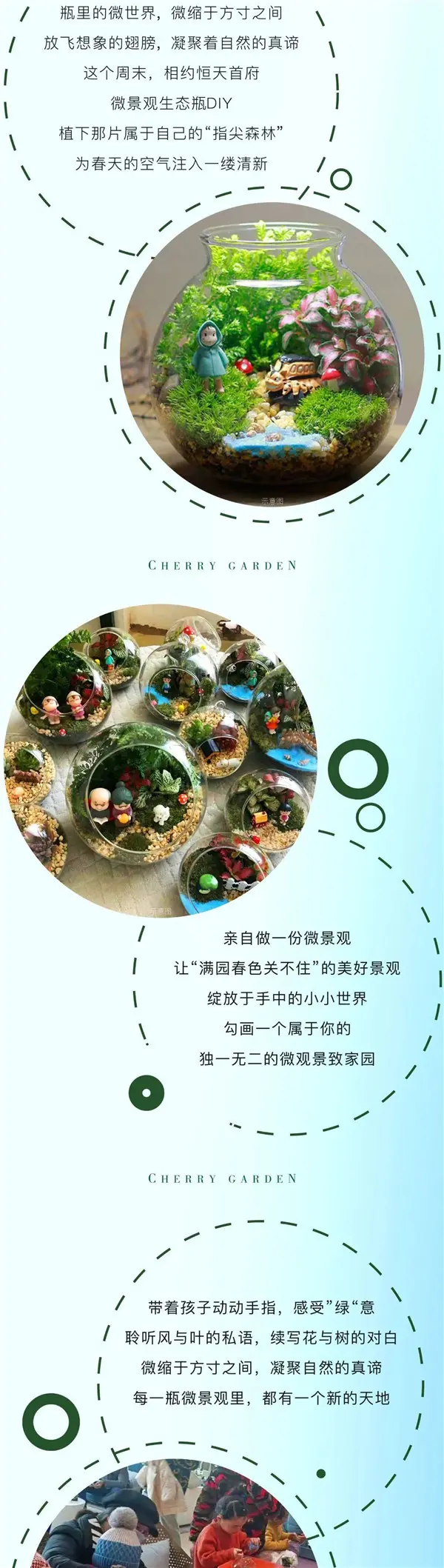 创意微景观感受春天的指尖绿动