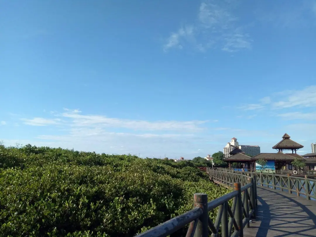 长寿之乡·海南澄迈：美景生态激活生命天堂