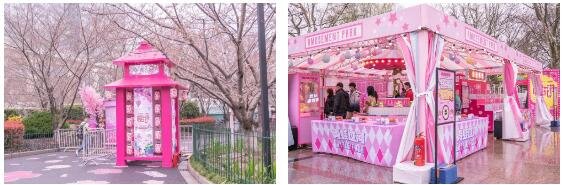 张家界首届『樱花美食节』来了，10万逛吃券疯狂送