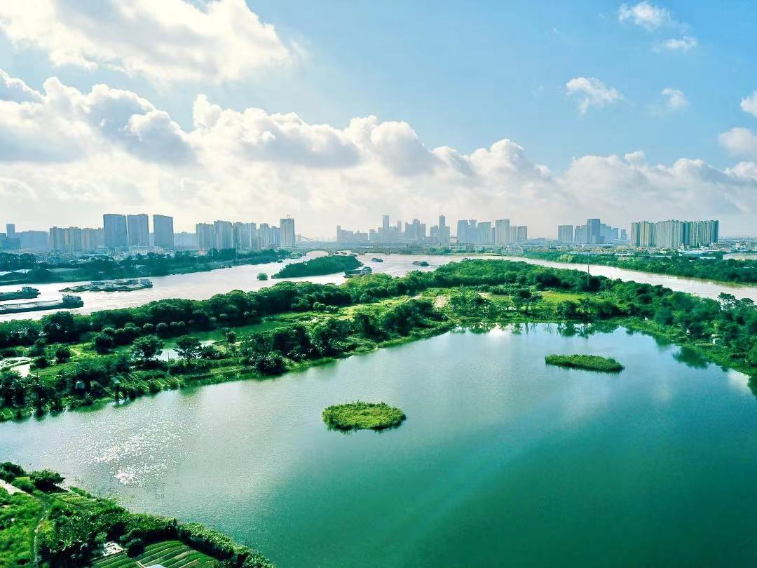 禅城湿地公园升级亮相，禅西门户凤翔湾发展日新月异！