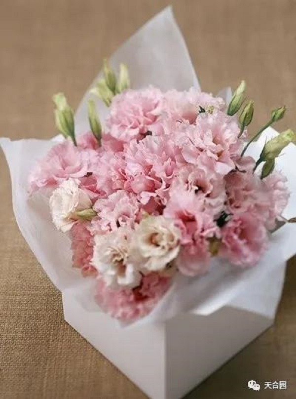 母亲节 | 你负责花式表白，文博天合园负责为她送花！