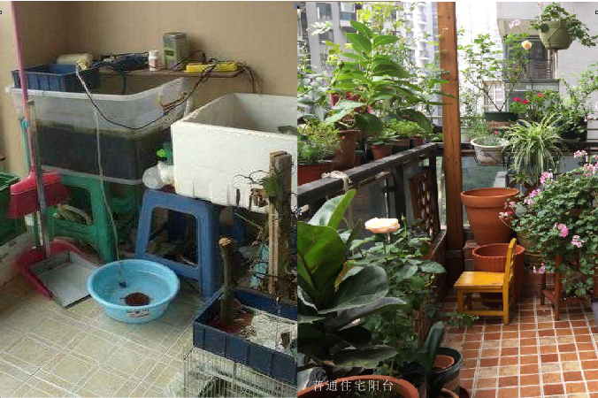 院子和大阳台的区别丨不一样的空间，自然不一样的生活！