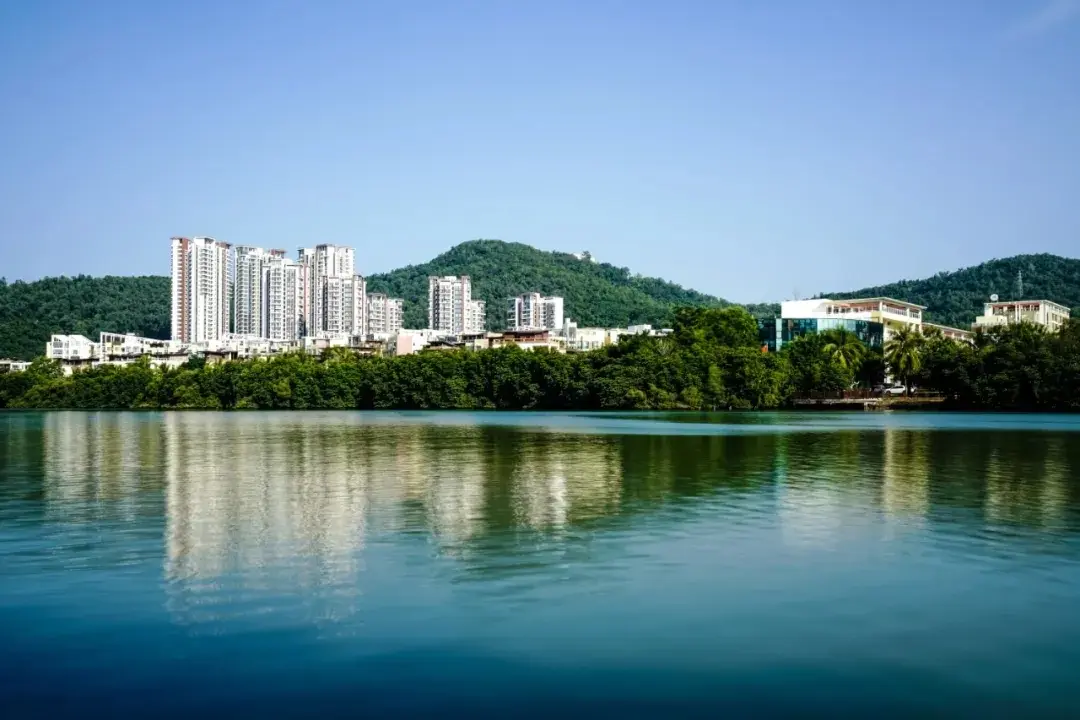 单月预售4000余套，有人却说市区无房可售！这个城市再次整治“捂盘惜售”