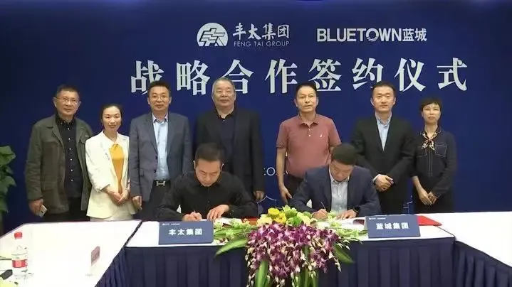 蓝城·桃花源商业中心,全球招商火热启幕-武汉新房网-房天下