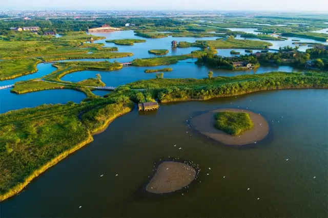 宁波杭州湾国家湿地公园