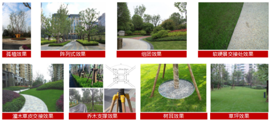 以匠心 鉴真心|杭州北孔雀城 品质在于细节，标准源于把控