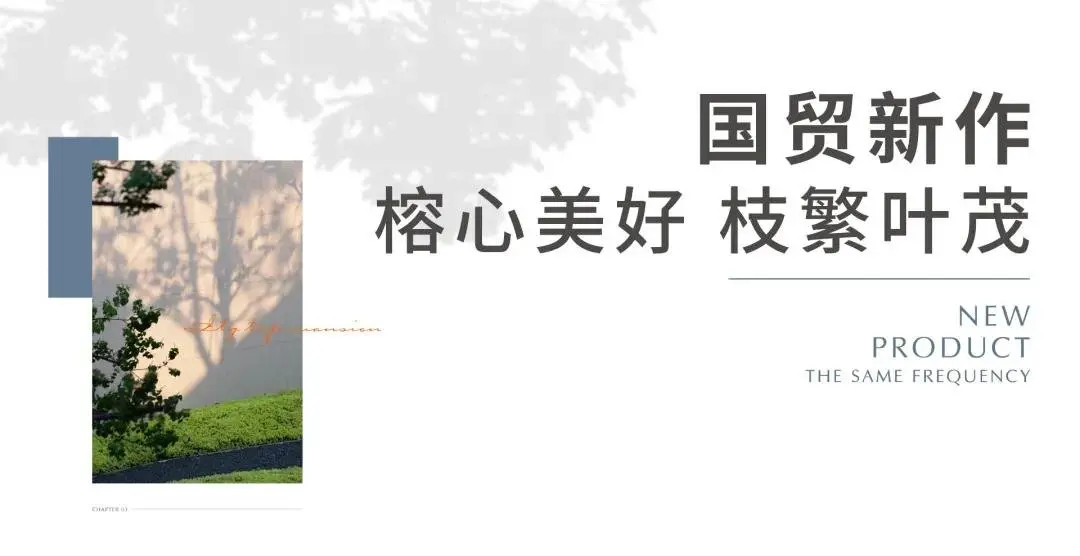 千亿国企：榕树下，美好的传承与生长
