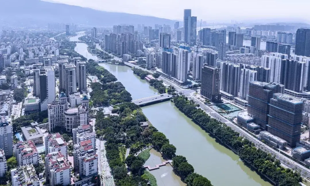 千亿国企：榕树下，美好的传承与生长