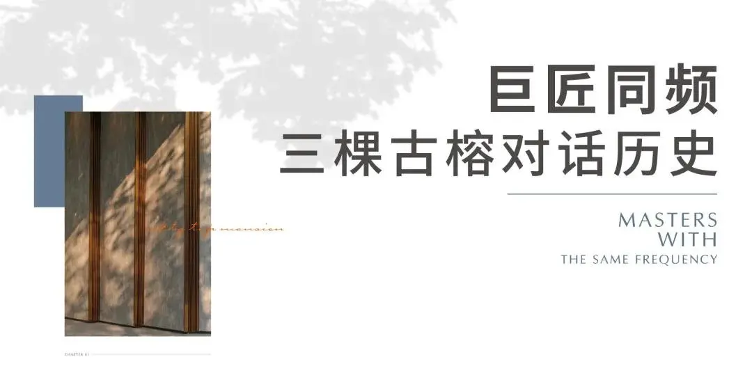 千亿国企：榕树下，美好的传承与生长