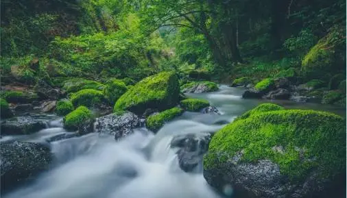 小暑已至，夏季避暑养生，这里才是你该去的地方！