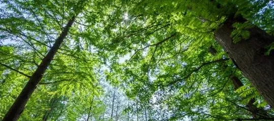 小暑已至，夏季避暑养生，这里才是你该去的地方！