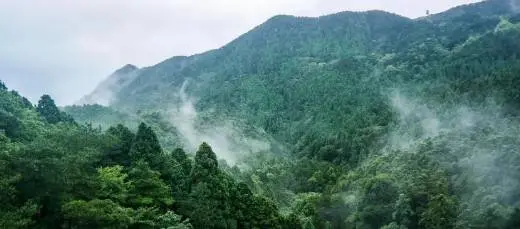 小暑已至，夏季避暑养生，这里才是你该去的地方！