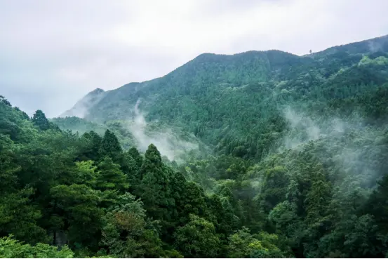 森林中央低密康养度假洋房，山语涧·康养旅游小镇全家人享受的健康家园！