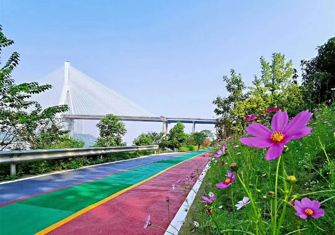 巴滨路实景图 除此之外,长江边的茶花广场,梅沁绿洲湿地公园,巴滨湿地
