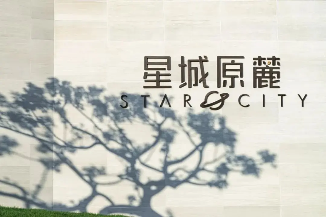 星城原麓开盘劲销3亿后再获金盘奖，见证高光时刻