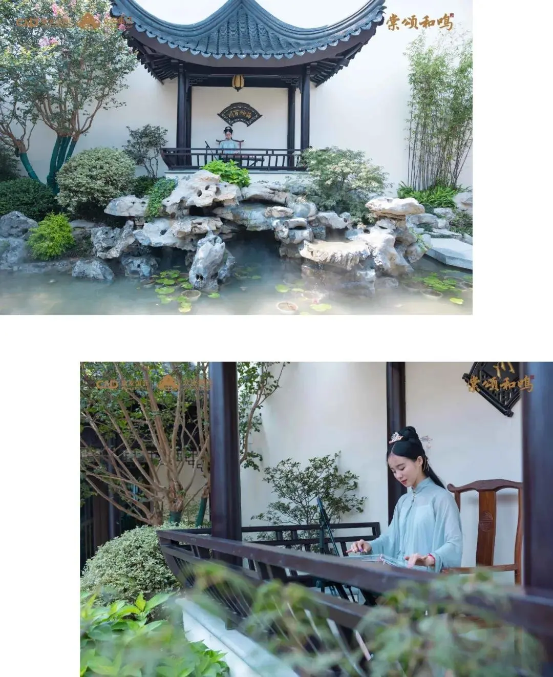 惊艳！绝美示范区霸屏绍兴，东方美学全城共鉴！