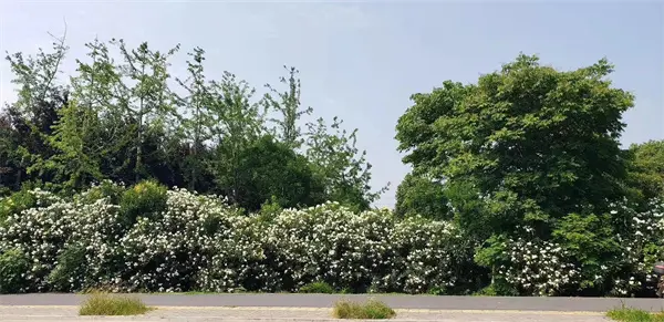 教师节钜惠 ，优惠11万，享槐荫公园旁轻奢三房