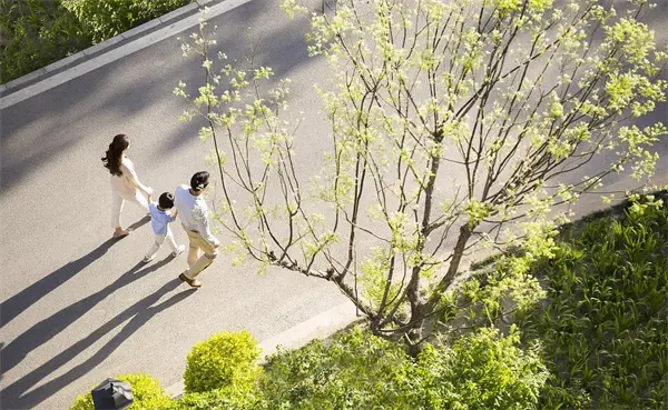 四季更迭，而你正穿越最美的风景