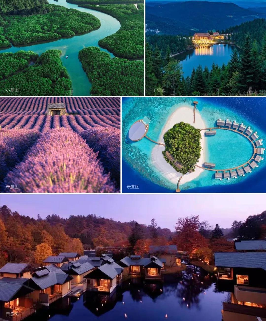 打造全球神往的森林群岛度假星球｜中国桃源森林国际旅游度假区