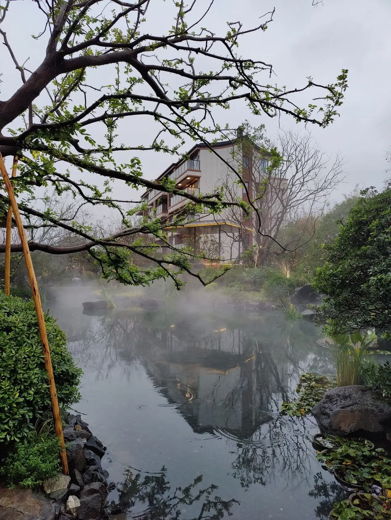 站在人文的湖前 | 铂悦湖前——苏州第四座铂悦示范区开放