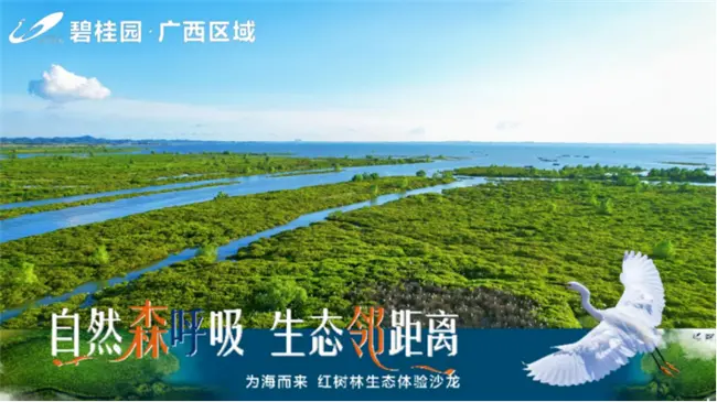 红树林生态体验沙龙圆满举办 感受宜居氧吧