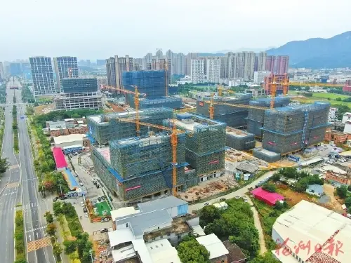 短短一年间 荒地变“高地”