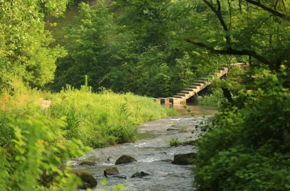 悦来多条景观步道上新!御璟悦来开启公园墅居新想象