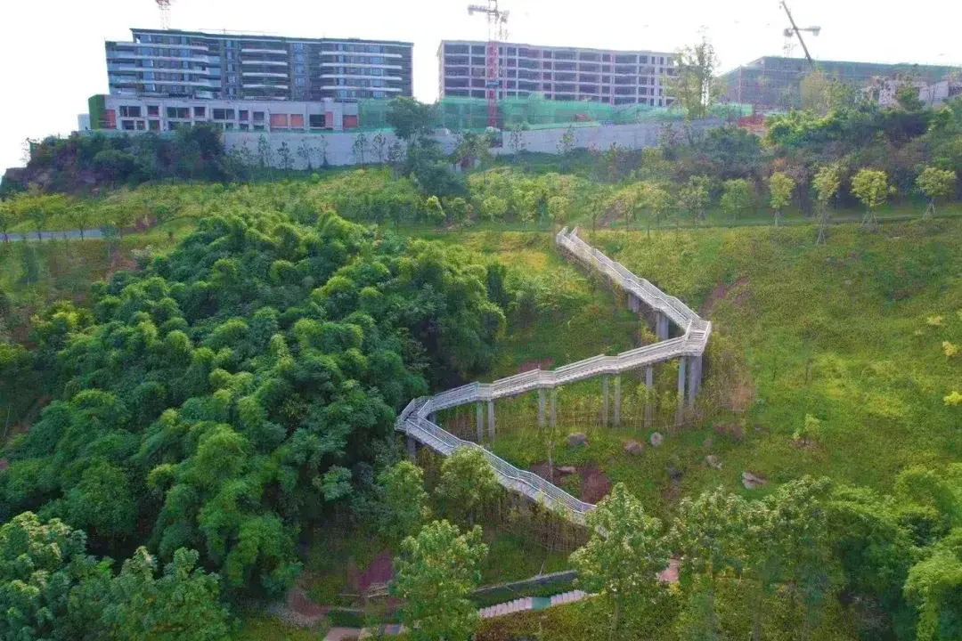 悦来多条景观步道上新!御璟悦来开启公园墅居新想象
