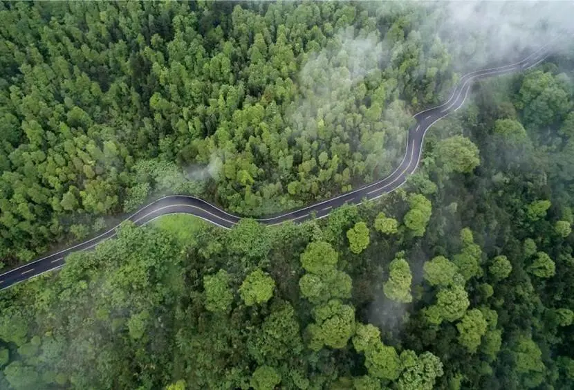 龙湖嘉天下｜龙湖洋房节送福利 199万就能入手龙湖主城墅，赶紧下叉